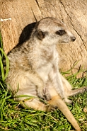 slides/DSC_9189.jpg  